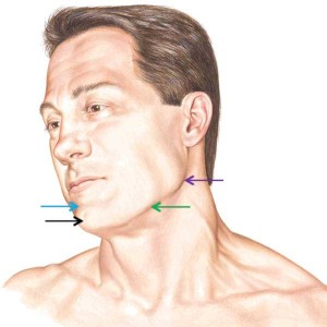 “Jamie’s Chin – Manly Mentus” – Outlander Anatomy