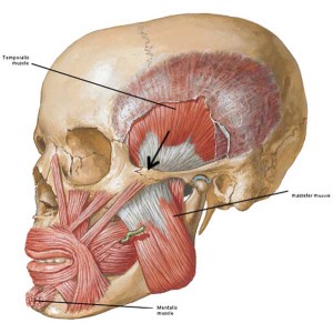 “Jamie’s Chin – Manly Mentus” – Outlander Anatomy